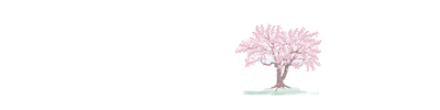 DEVSY™